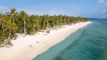 A beach with palm trees, white sand, and clear turquoise water.