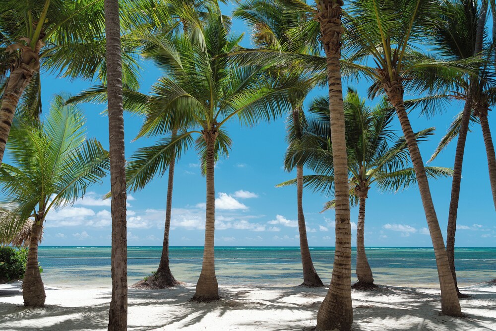 Catalonia Royal Bavaro - Adults Only 3