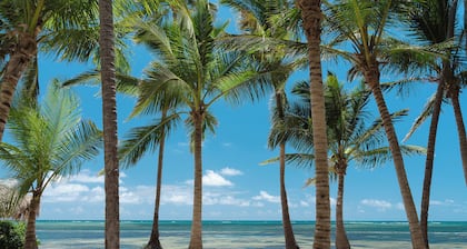 Catalonia Royal Bavaro - Adults Only