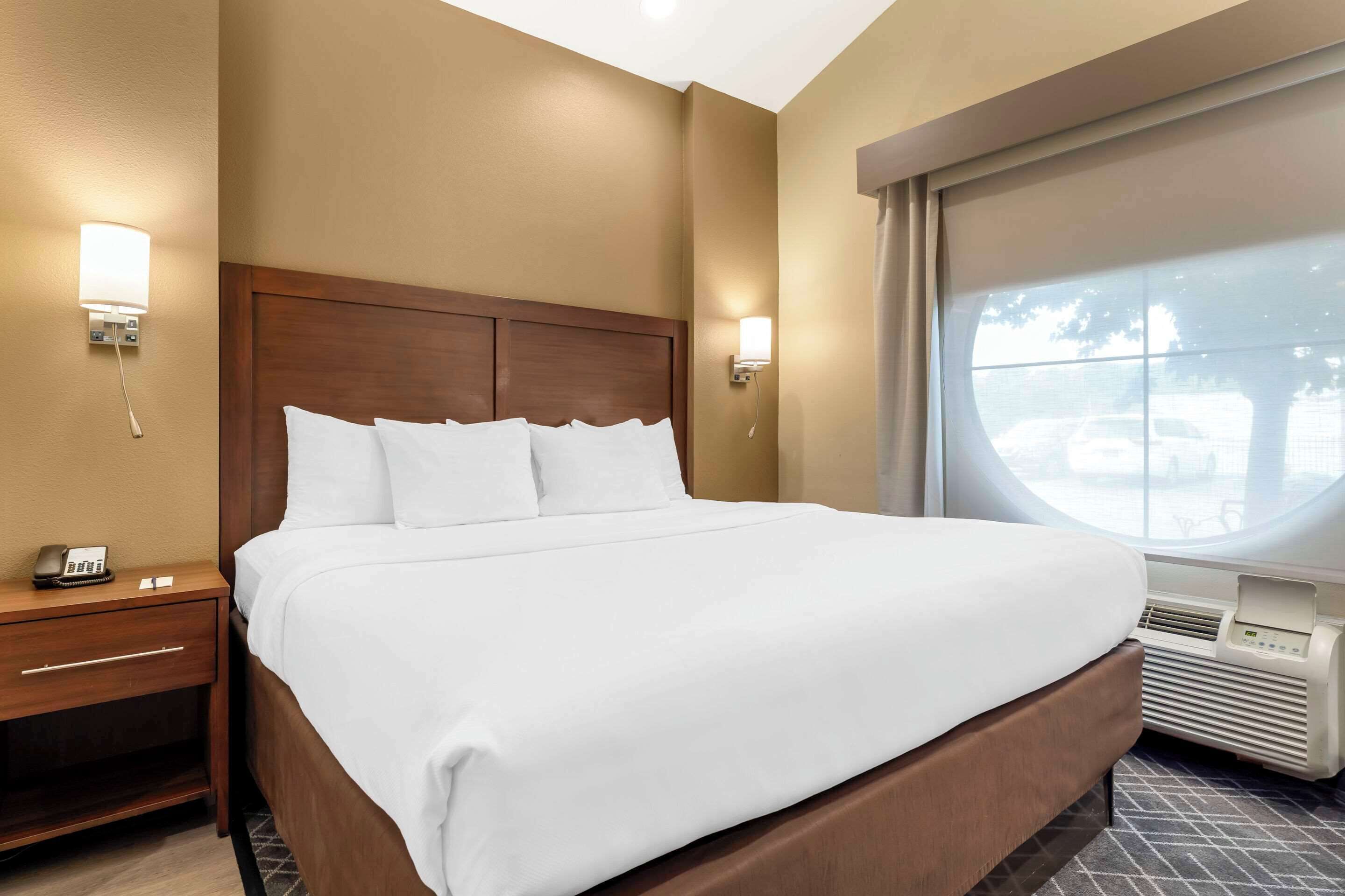 A hotel room with a large bed, bedside lamps, a nightstand, and a window with a view of the outside.