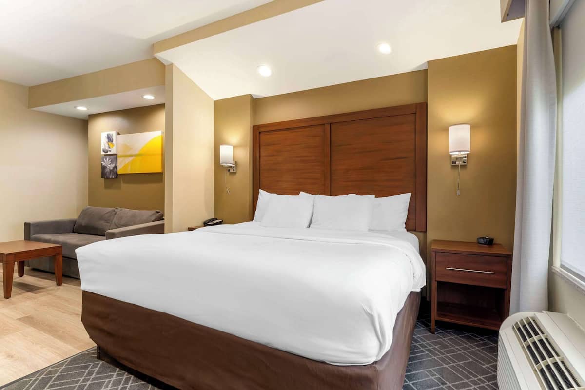 Suite, niet-roken | Een bureau, een strijkplank/strijkijzer, gratis wifi, beddengoed