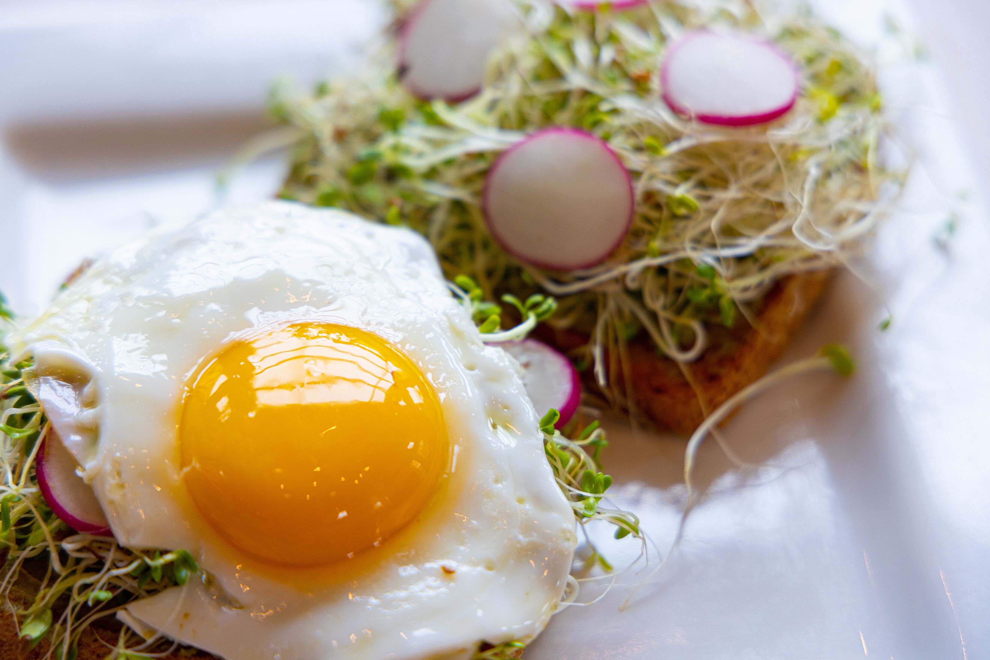 A dish with a fried egg on a bed of greens and radishes.