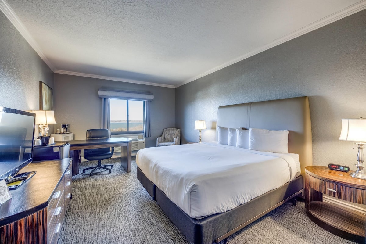 Standard Room, 1 King Bed, Non Smoking, Lake View | Premium bedding, individually decorated, individually furnished, desk