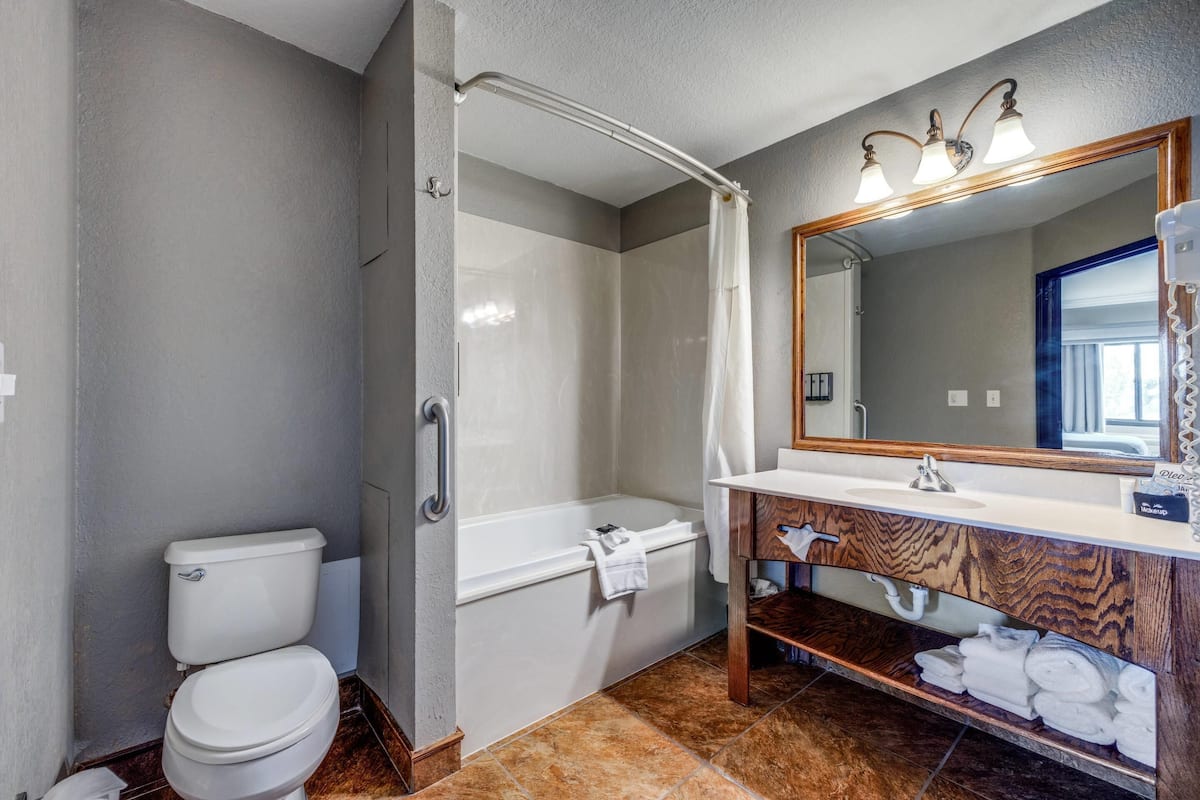 A bathroom with a toilet, shower, bathtub, vanity with a mirror, and a towel rack.