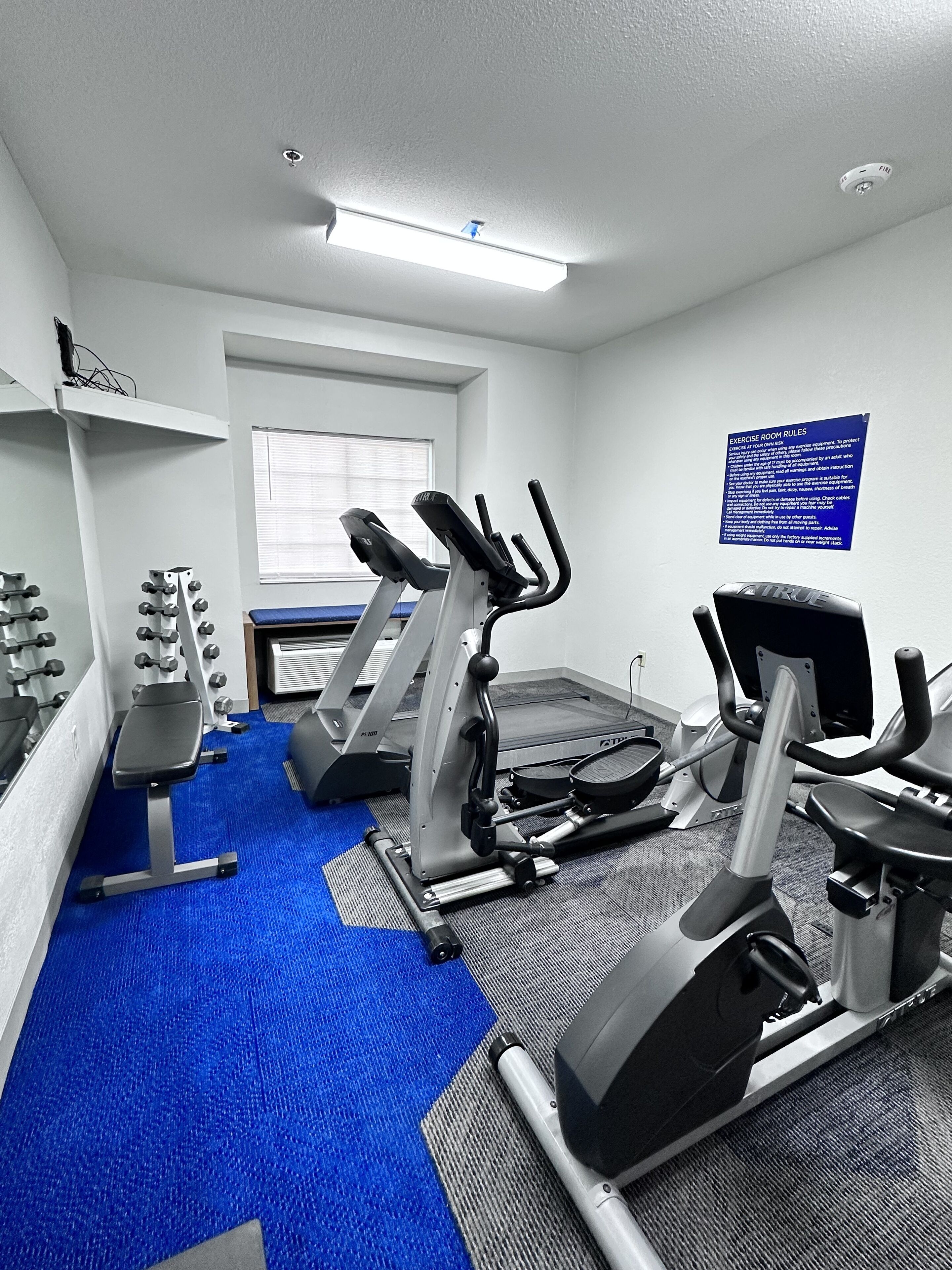 A gym with treadmills, a bench, and weight machines.