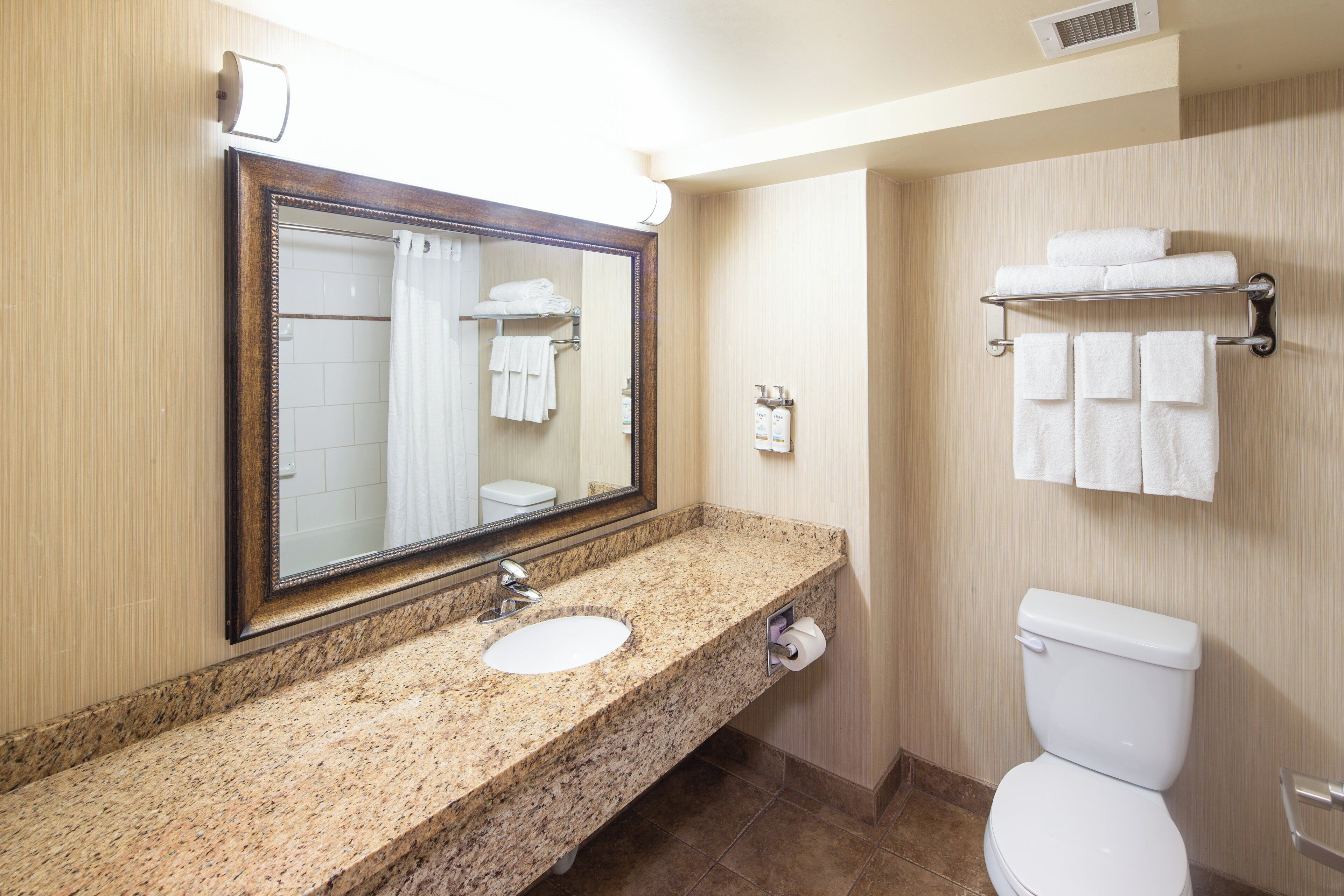 combined shower/bathtub, free toiletries, hair dryer, towels