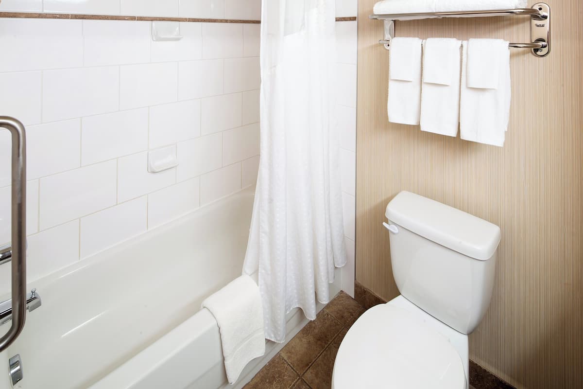 combined shower/bathtub, free toiletries, hair dryer, towels