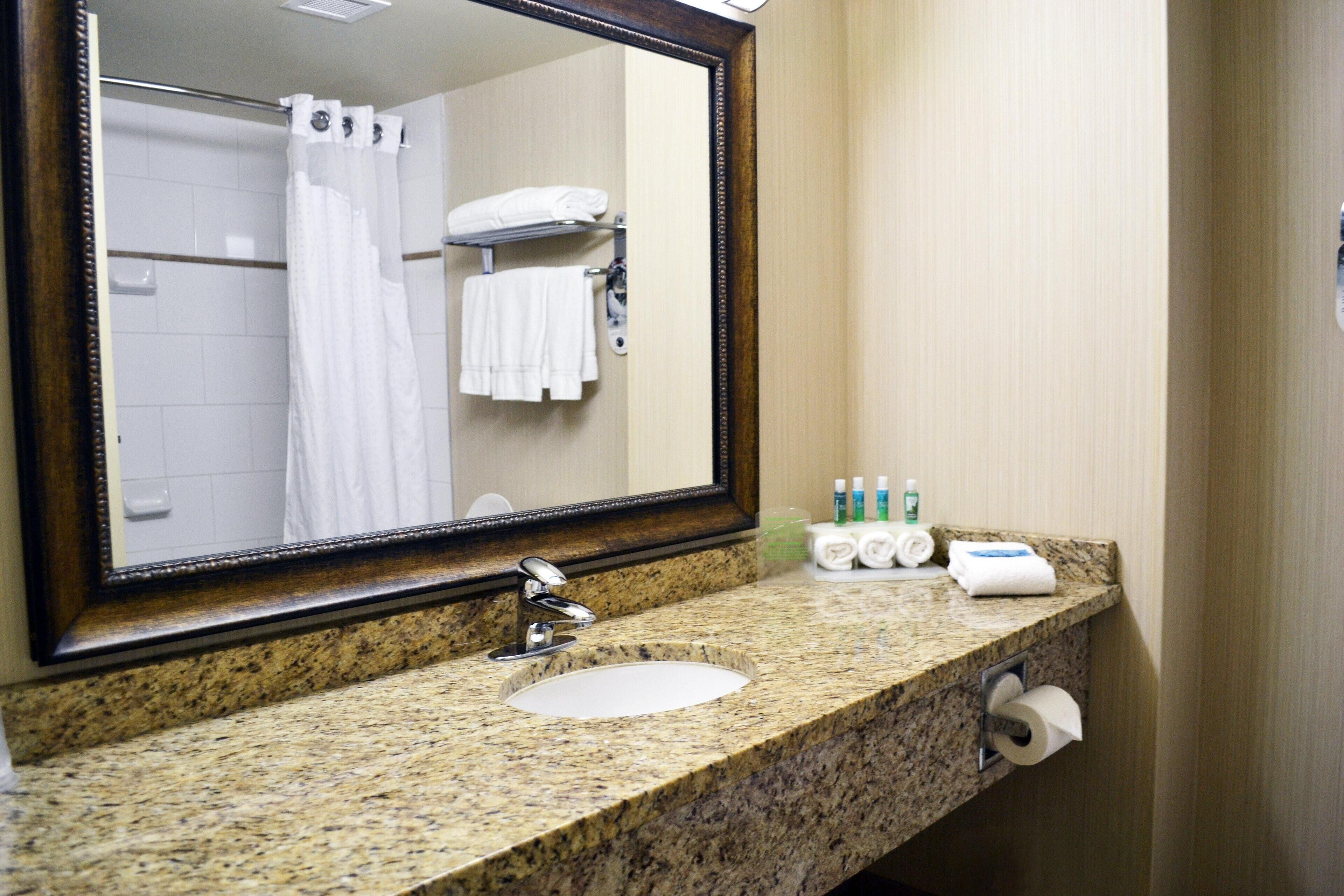 Bathroom | Combined shower/tub, free toiletries, hair dryer, towels