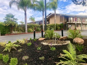 A landscaped garden with palm trees, ferns, and a water feature in front of a building with a registration sign.
