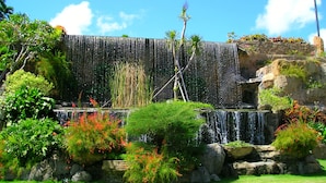 Un jardin agrémenté d’une cascade, de rochers et de différentes espèces de plantes.