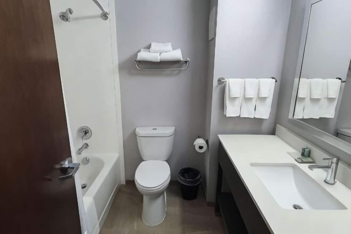 Duschwanne, Designer-Toilettenartikel, Haartrockner, Handtücher