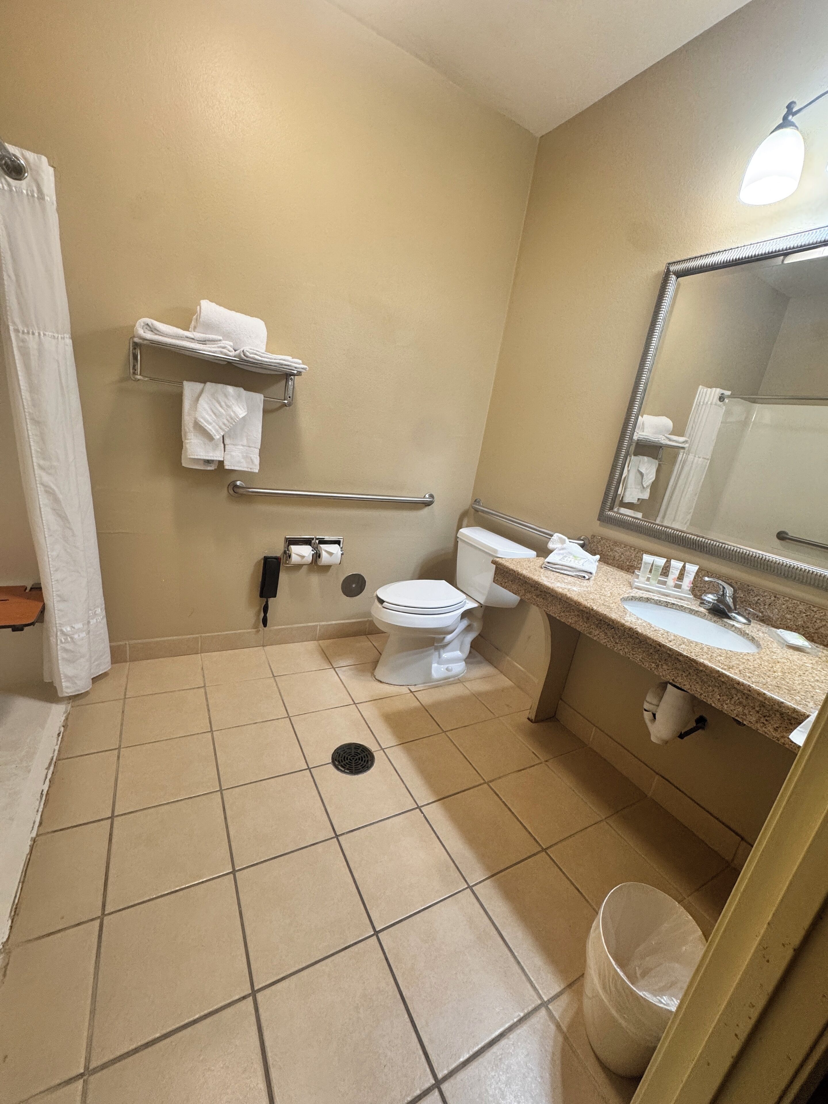 A bathroom with a toilet, sink, mirror, towel rack, and grab bars.