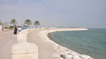Un paseo marítimo con un muro de piedra, palmeras y cielo despejado.