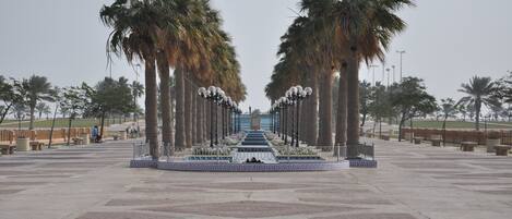 A symmetrical arrangement of palm trees and street lamps in a public square.