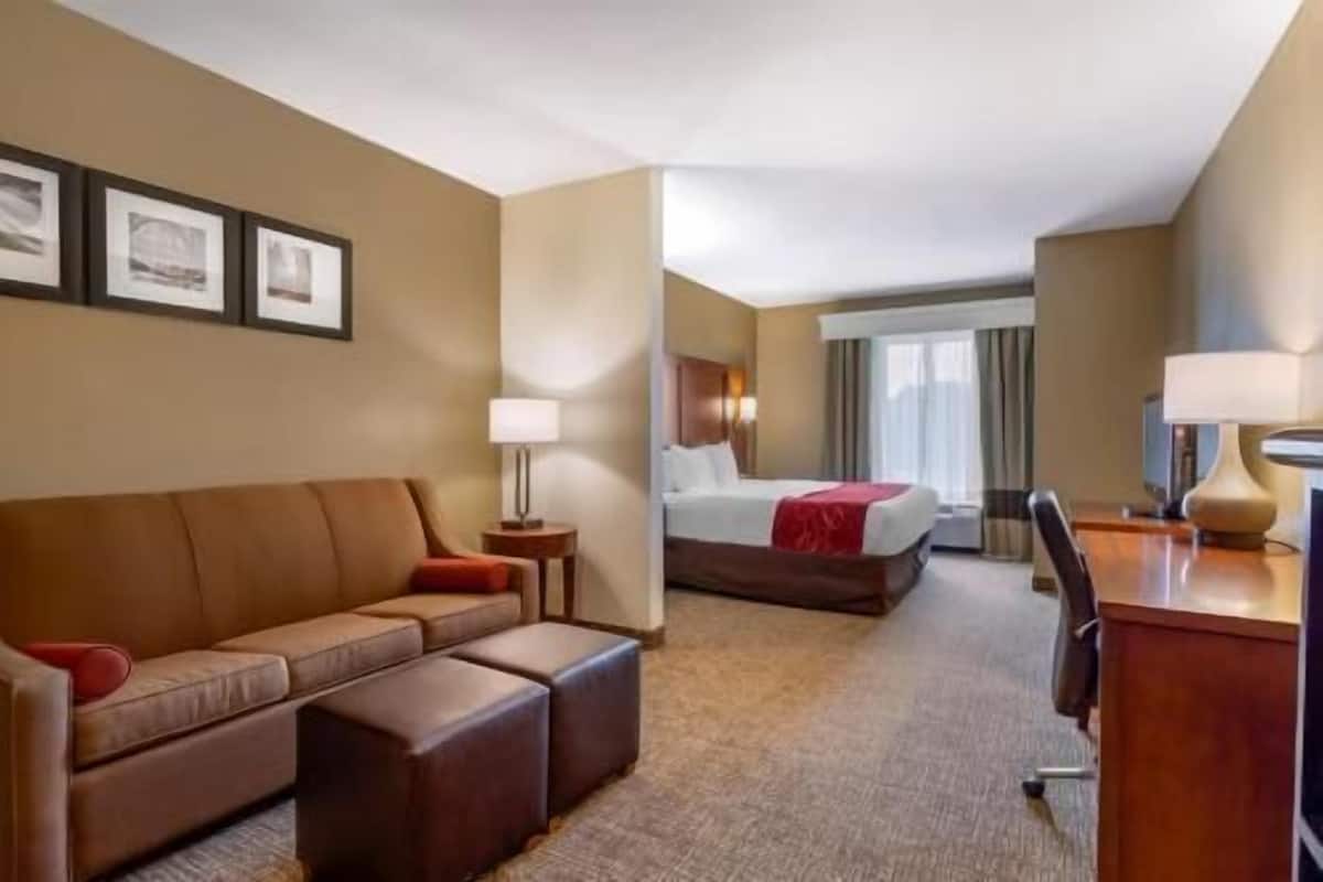 A hotel room with a sofa, a bed, a desk, and a lamp.
