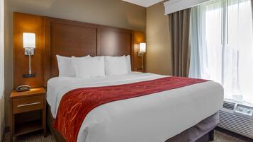 Suite, 1 cama King size y sofá cama, para no fumadores | Ropa de cama de alta calidad, camas con pillow-top y muebles diferentes