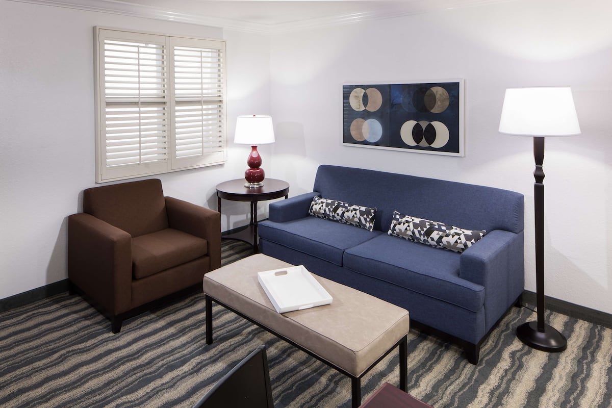 Une pièce comprenant un fauteuil marron, un canapé bleu orné de coussins à motifs, une petite table avec un plateau blanc et deux lampadaires.