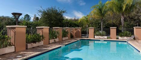 A rectangular swimming pool with a tiled edge, surrounded by a low brick wall and potted plants.