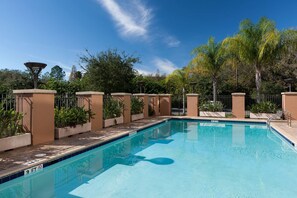 A rectangular swimming pool with a tiled edge, surrounded by a low brick wall and potted plants. - Embassy Suites by Hilton Tampa Brandon (Tampa)