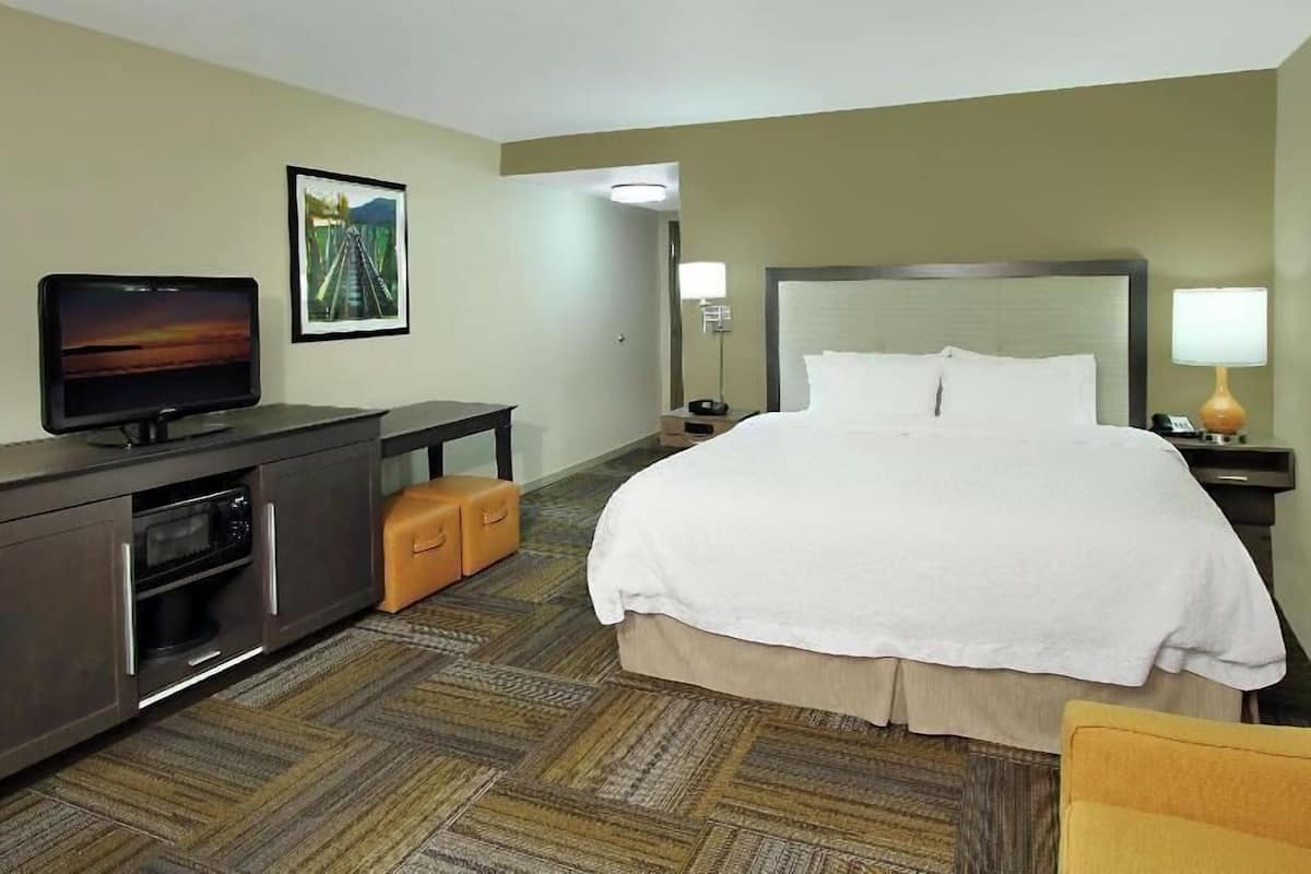 Minibar, in-room safe, iron/ironing board, free cots/infant beds