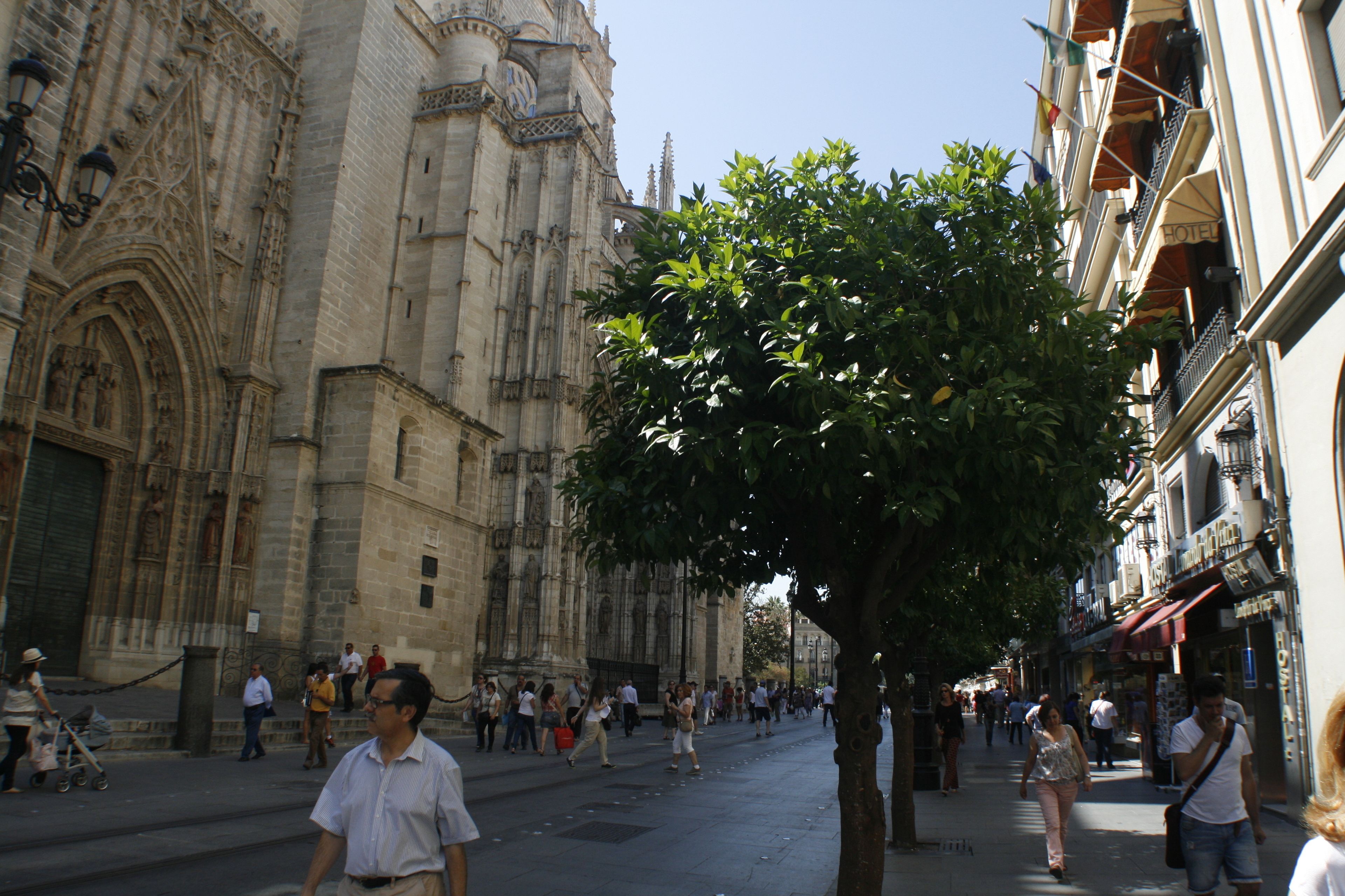 A historic building with Gothic architecture, a tree-lined street, and a crowd of people.