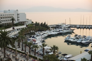 Marina