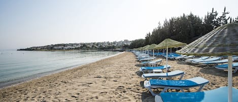 Uma praia com fileiras de cadeiras-de-sol azuis e guarda-sóis, uma faixa de areia e vista para o mar e edifícios ao longe.