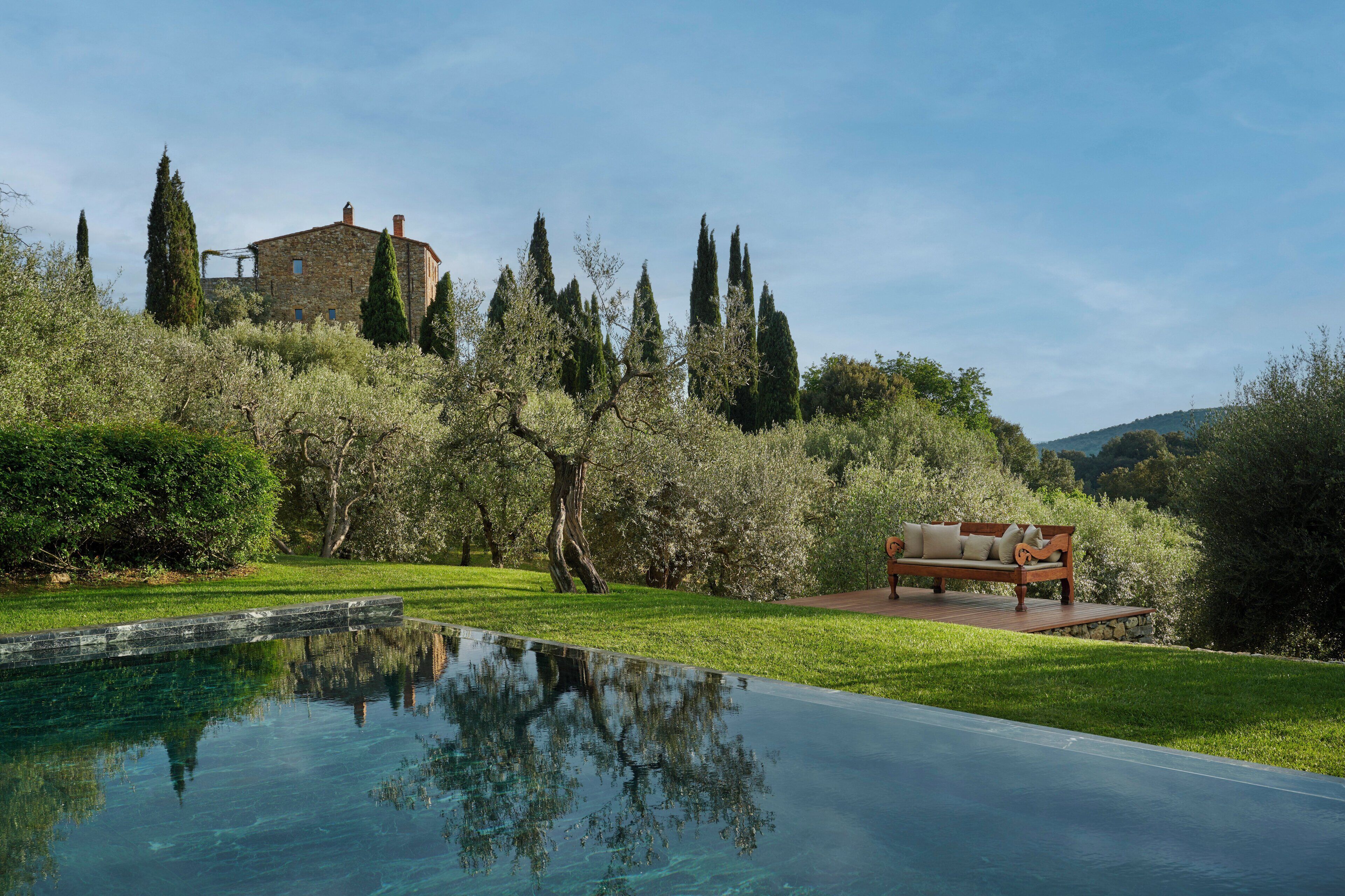 A swimming pool with a wooden deck and a bench, surrounded by lush greenery and tall trees.
