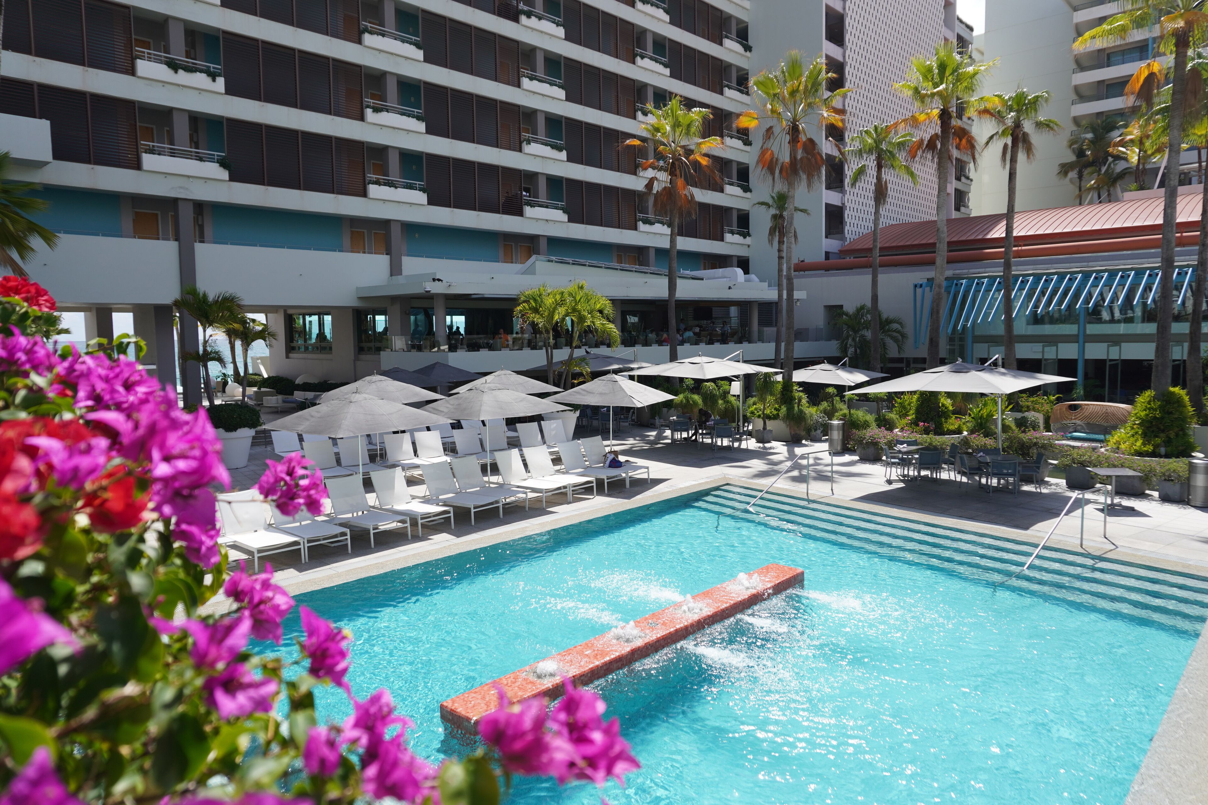 A hotel pool area with lounge chairs, umbrellas, and palm trees.
