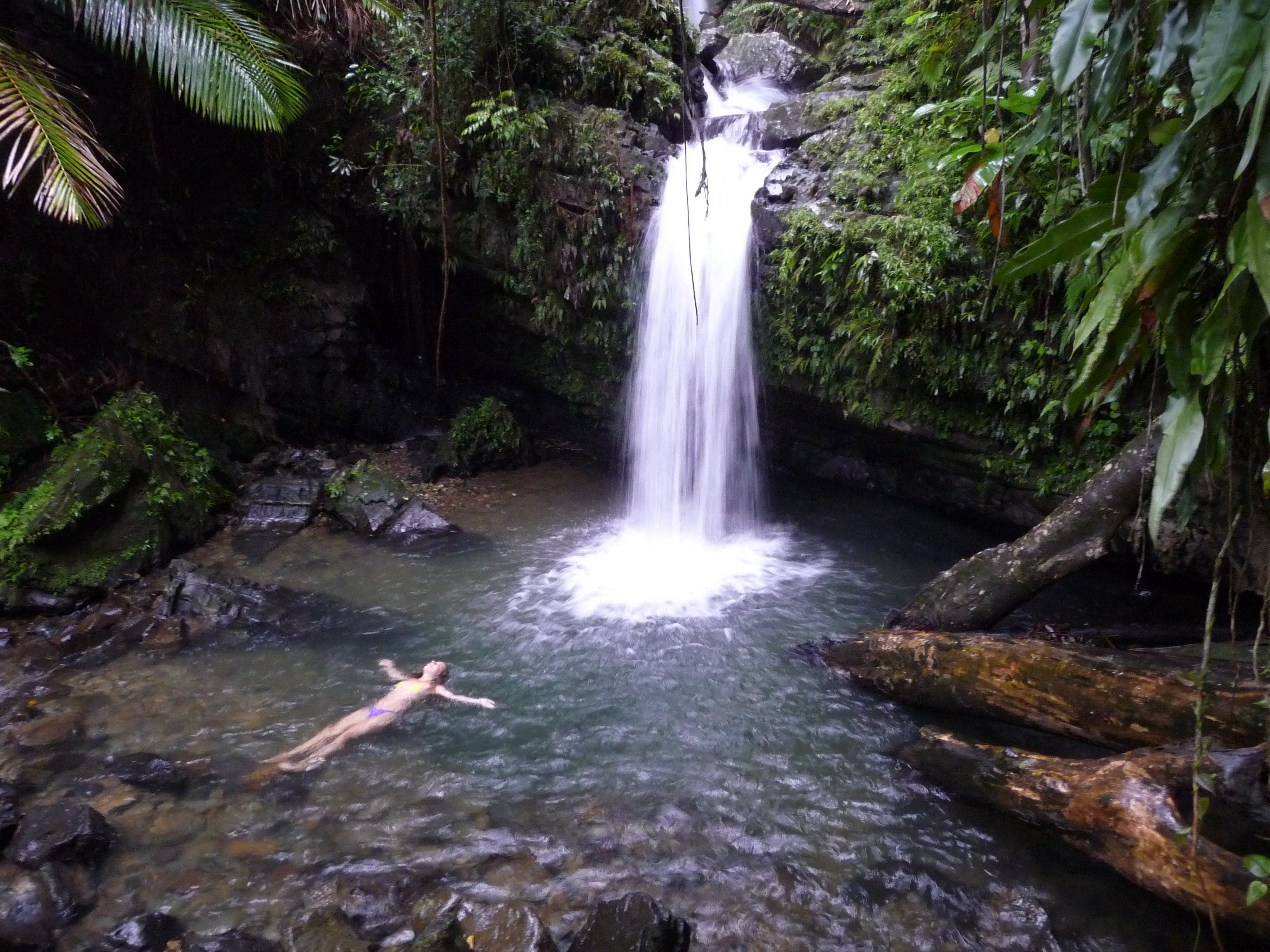 A waterfall in a forested area with clear water and a person swimming.