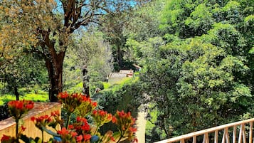 Suite, Terrasse | Blick von der Unterkunft