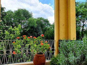 Terrace/patio - Hotel Annalena (Florence)