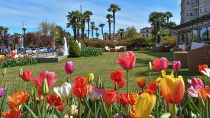 Un jardín con diversas tulipanes y palmeras, una fuente y un edificio con balcones.