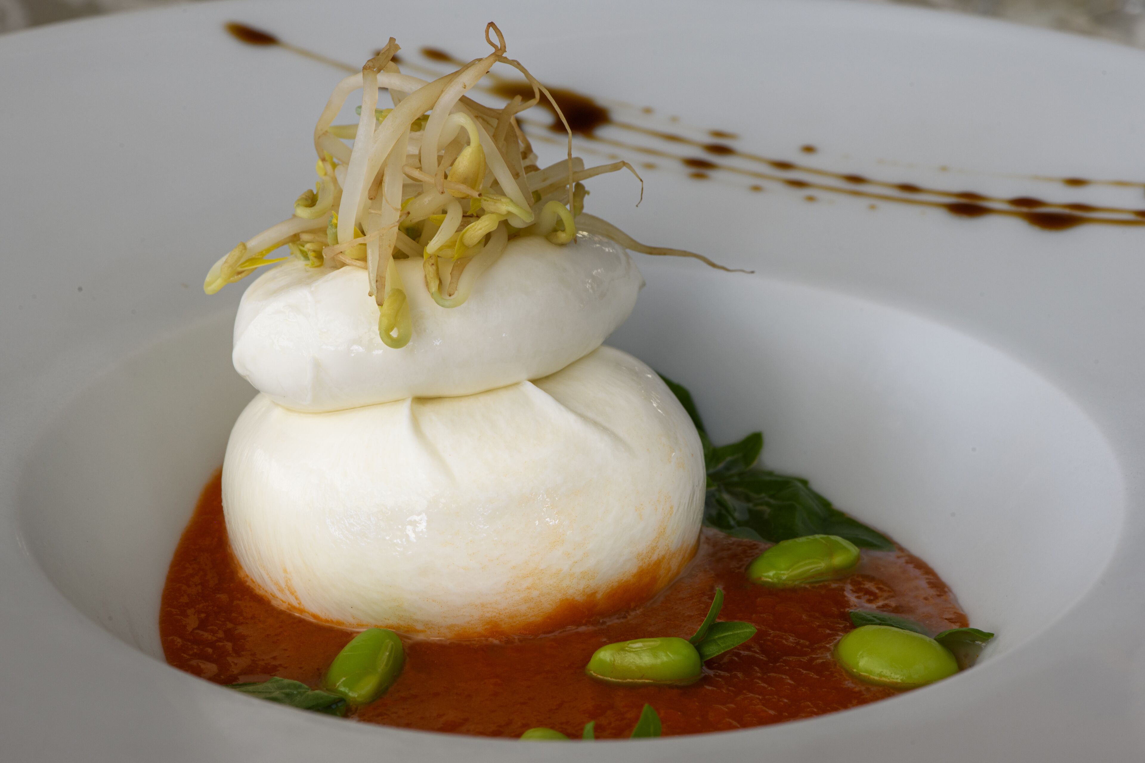 A white plate with a white spherical food item, garnished with green leaves and sprouts, and a red sauce.
