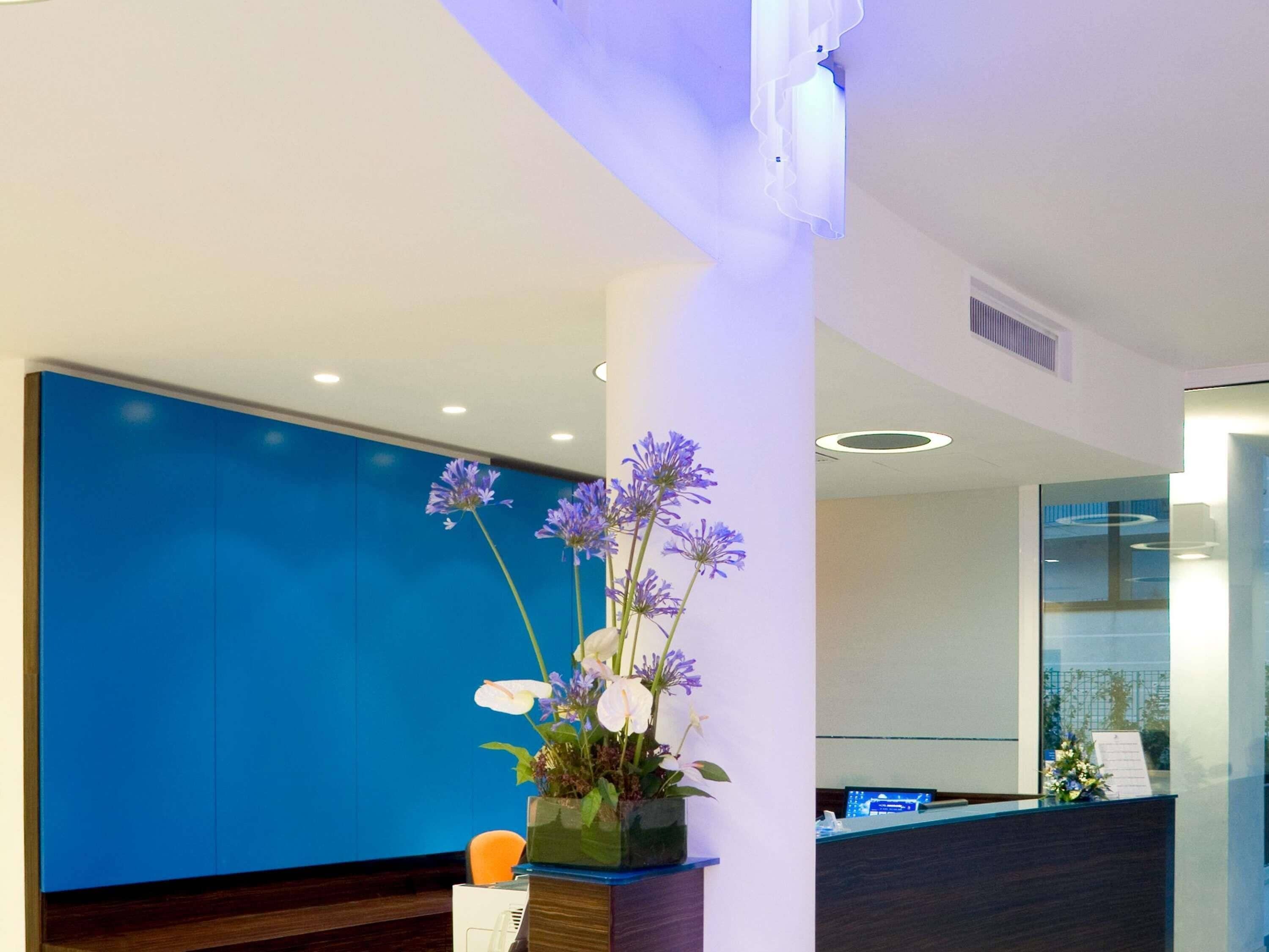 Zona de recepción con pared azul, mostrador de recepción y planta en maceta con flores.