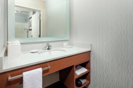Springhill Suites by Marriott Chicago Downtown River North - Image 21