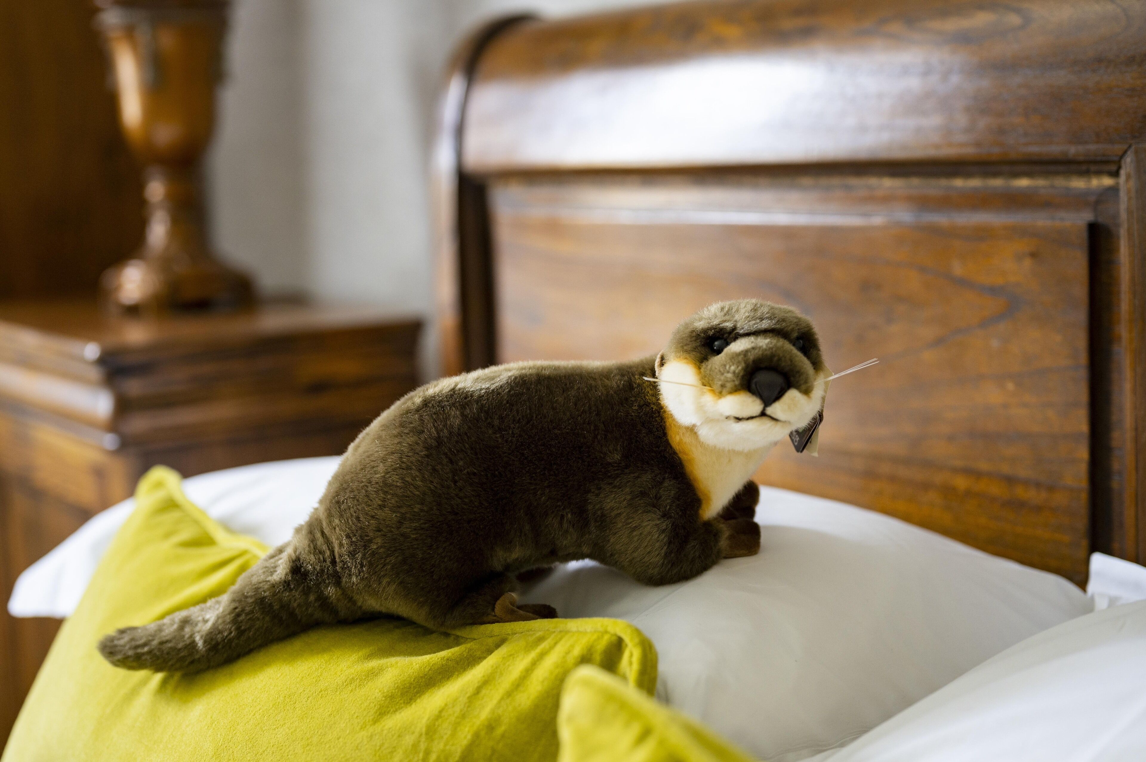 standard double or twin room | desk, iron/ironing board, free wifi, bed sheets