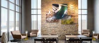 SpringHill Suites Minneapolis-St Paul Airpt/Mall of America