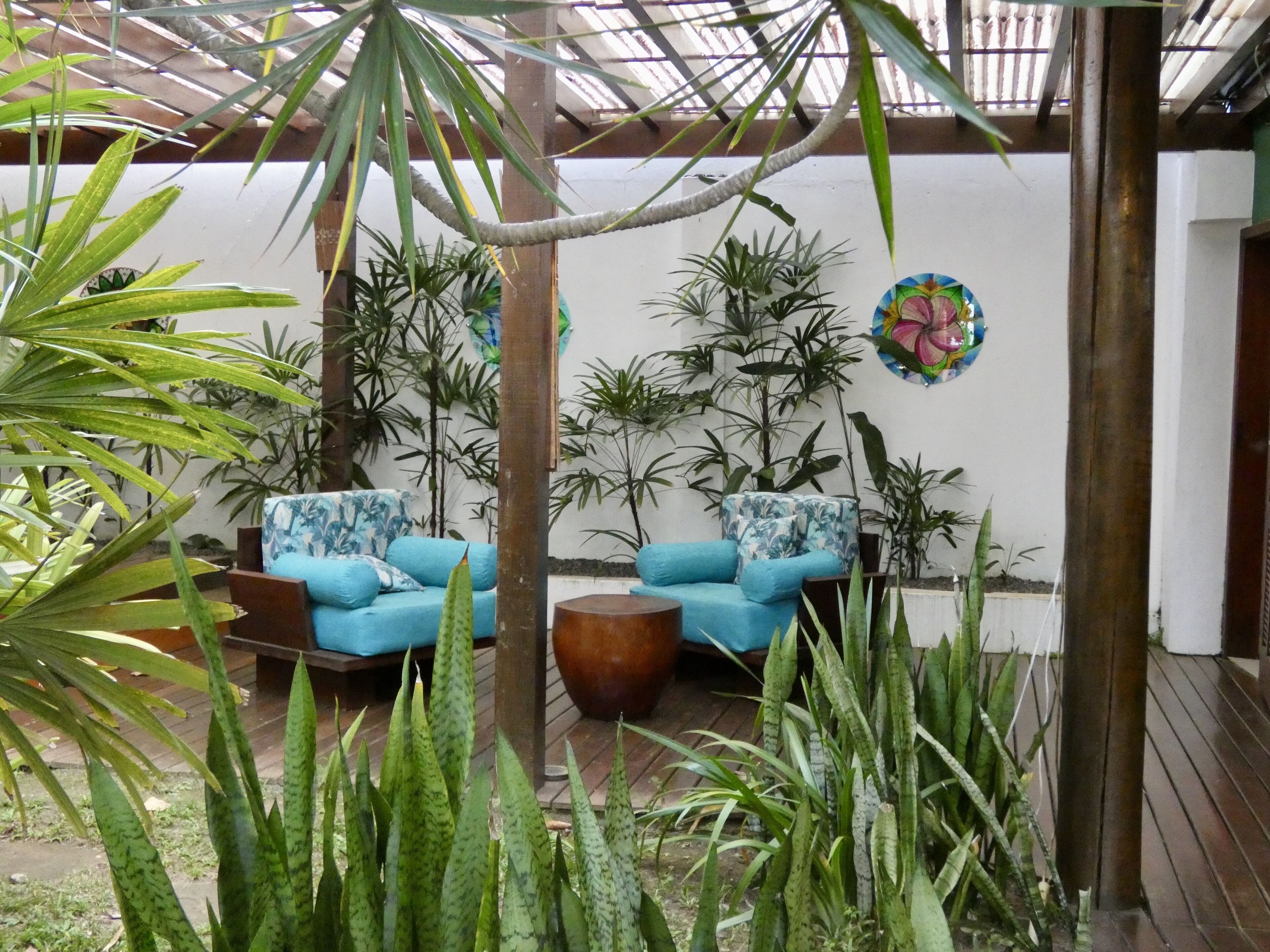 Uma área de varanda coberta com um sofá azul e uma mesa redonda de madeira, rodeada por diversas plantas verdes.