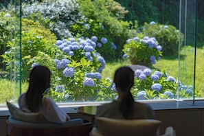 A room with a large window overlooking a garden with hydrangeas.