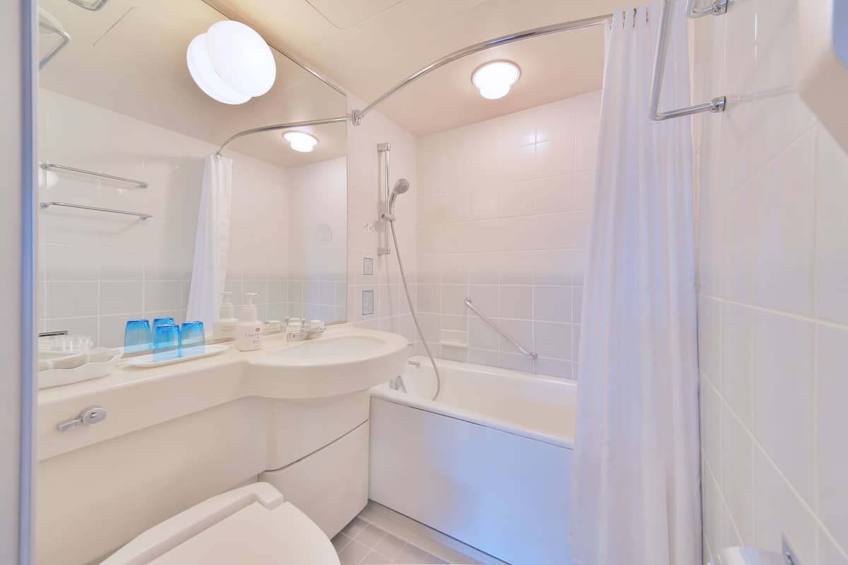 combined shower/bathtub, free toiletries, hair dryer, slippers
