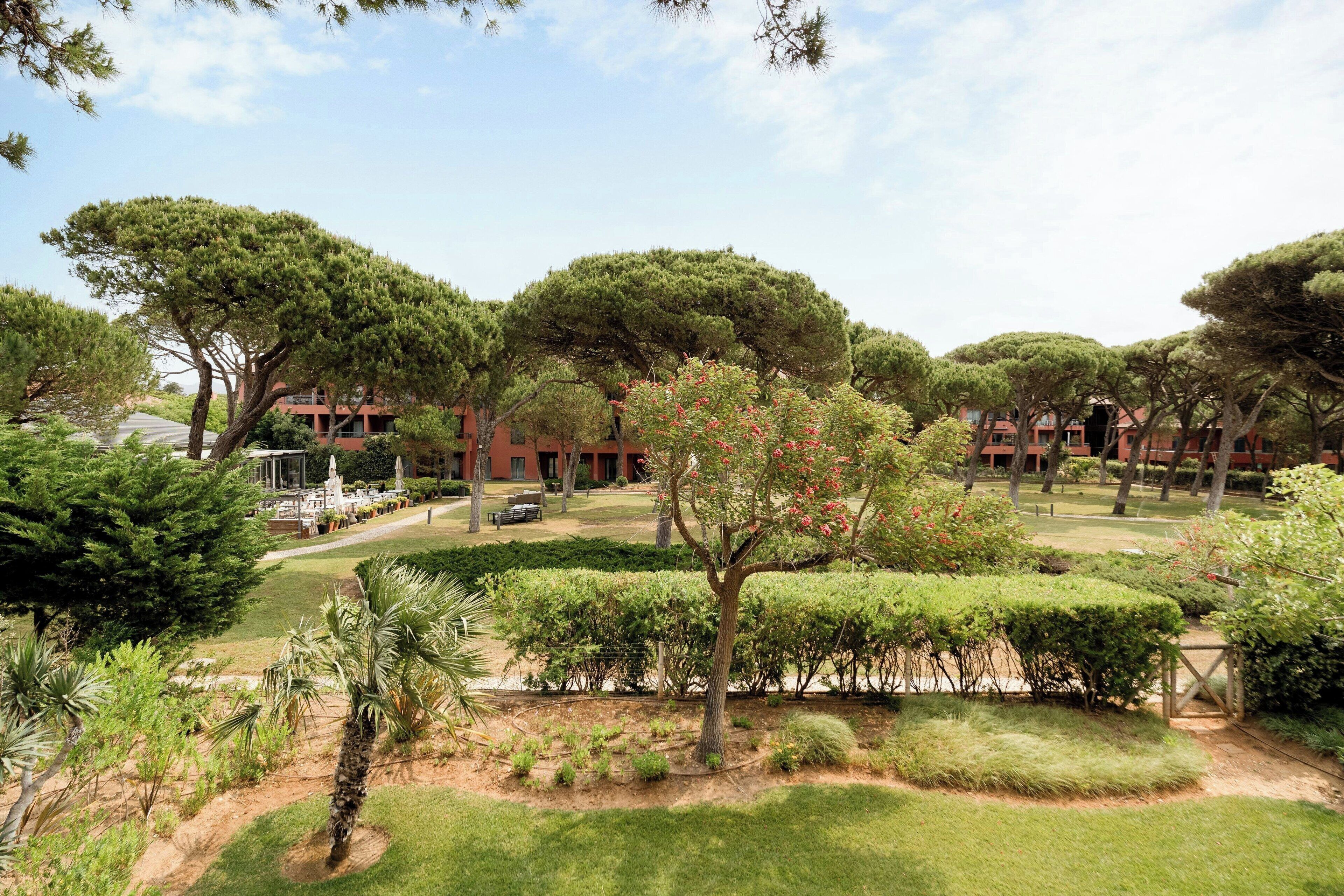 premium room, 1 queen bed, non smoking, resort view | 1 bedroom, minibar, in-room safe, desk