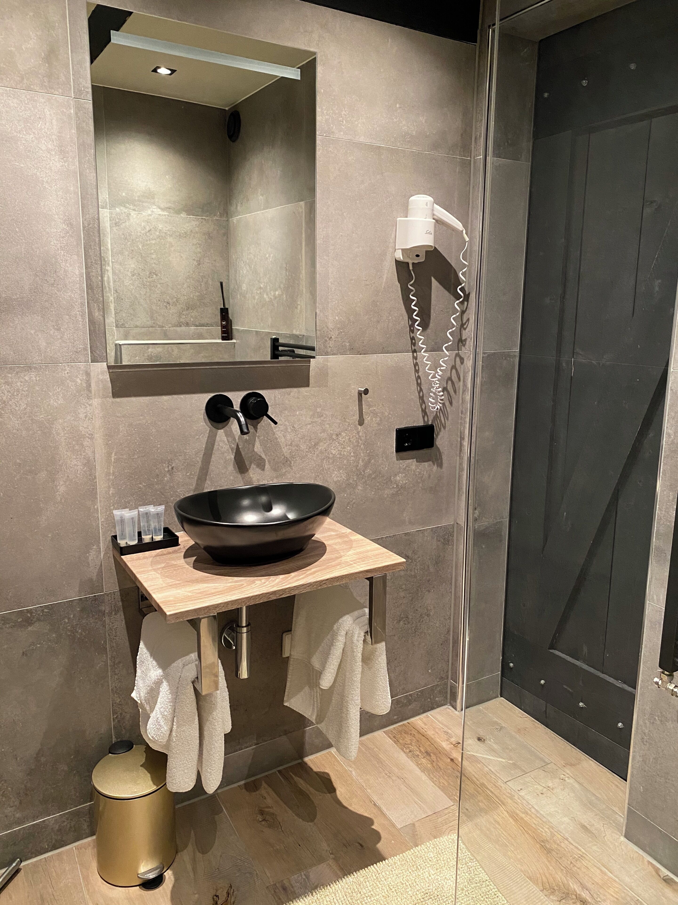 Deluxe Studio | Bathroom | Shower, hair dryer, towels
