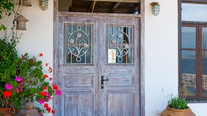 A rustic wooden door with decorative glass panels, a tiled stone floor, and a large potted plant beside it.