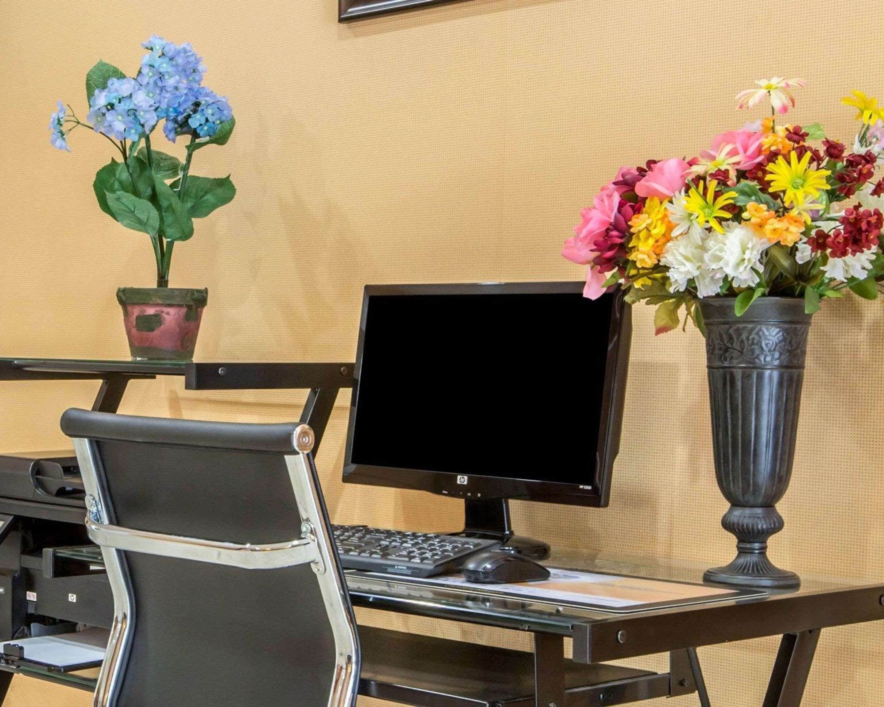 Un bureau avec un écran d’ordinateur, un clavier et une souris. Une chaise est placée devant le bureau. Deux plantes en pot sont posées sur le bureau.