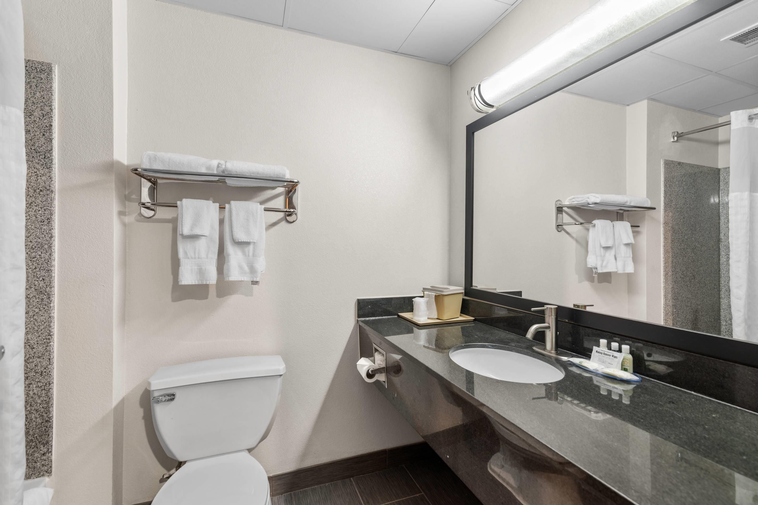 A hotel bathroom with a toilet, a sink, a mirror, and towel racks.