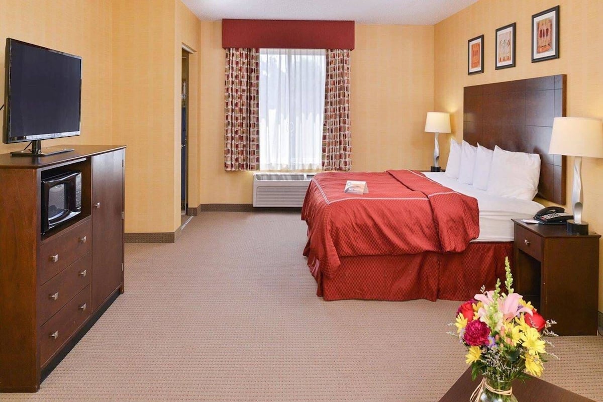 A hotel room with a bed, a TV, a desk with a vase of flowers, and a nightstand with a lamp.