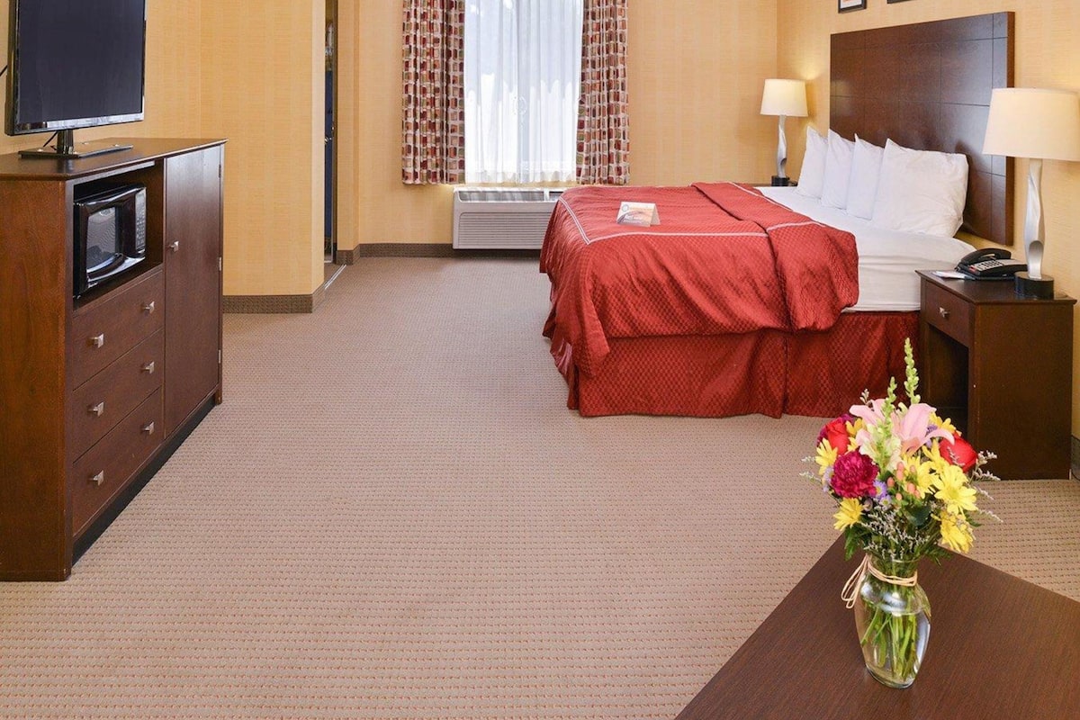 Ropa de cama de alta calidad, escritorio, cunas gratuitas y wifi gratis