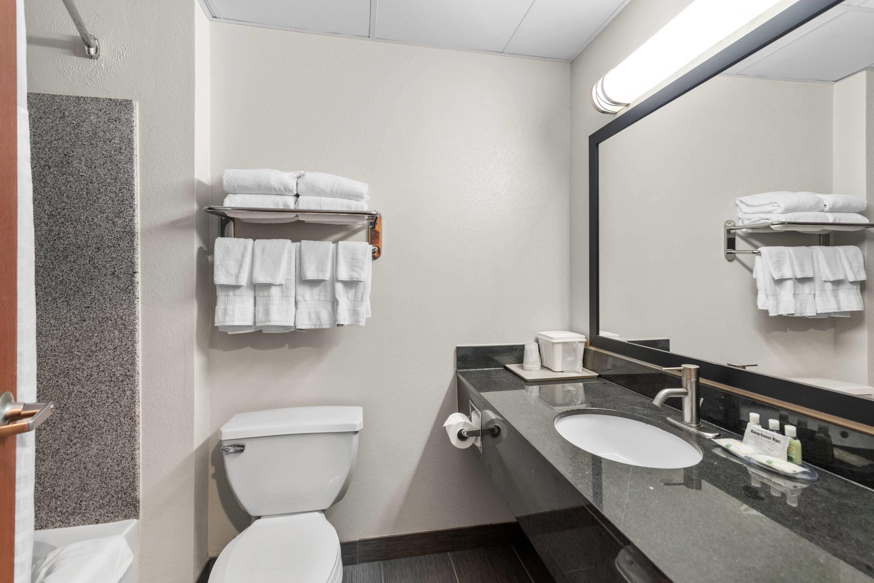 Et moderne badeværelse med toilet, vask og håndklædetørre.
