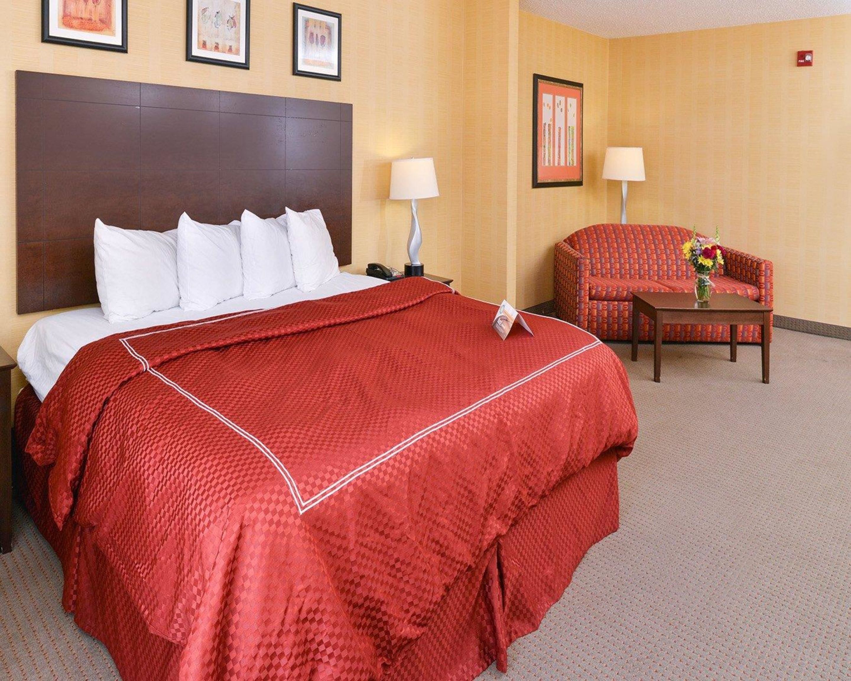 A hotel room with a large bed, a red blanket, a chair, a table, and a lamp.